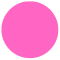 Rose (6)